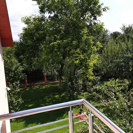 Nejse * Sarajevo